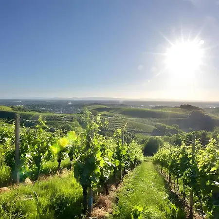 Apartman Fewos Weingut Pieper Basler *